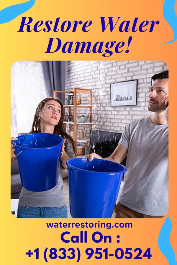 water restoration Coastal Water Removal LLC Karns