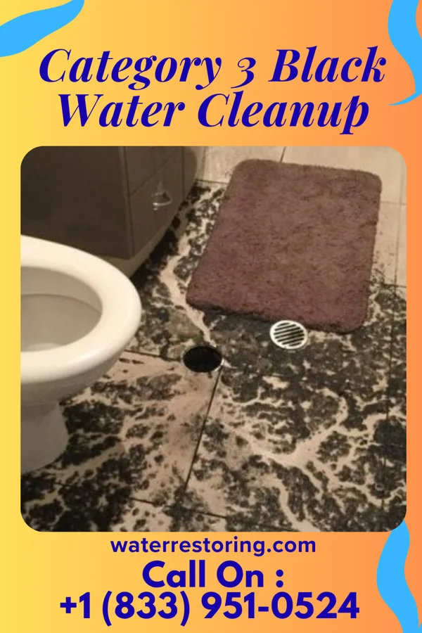 Category 3 Black Water Cleanup in Karns, TN