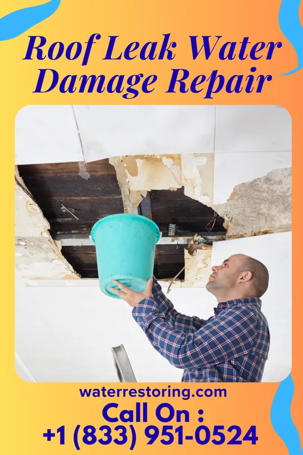 Roof Leak Water Damage Repair in Karns, TN